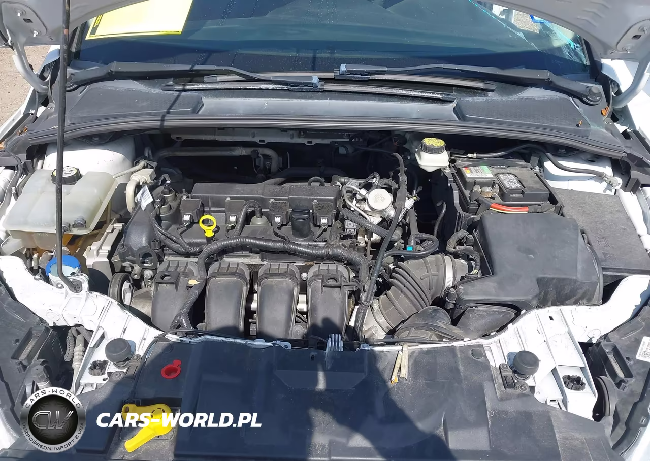 2017 Ford Focus Se VIN:1FADP3K29HL246610 - 10
