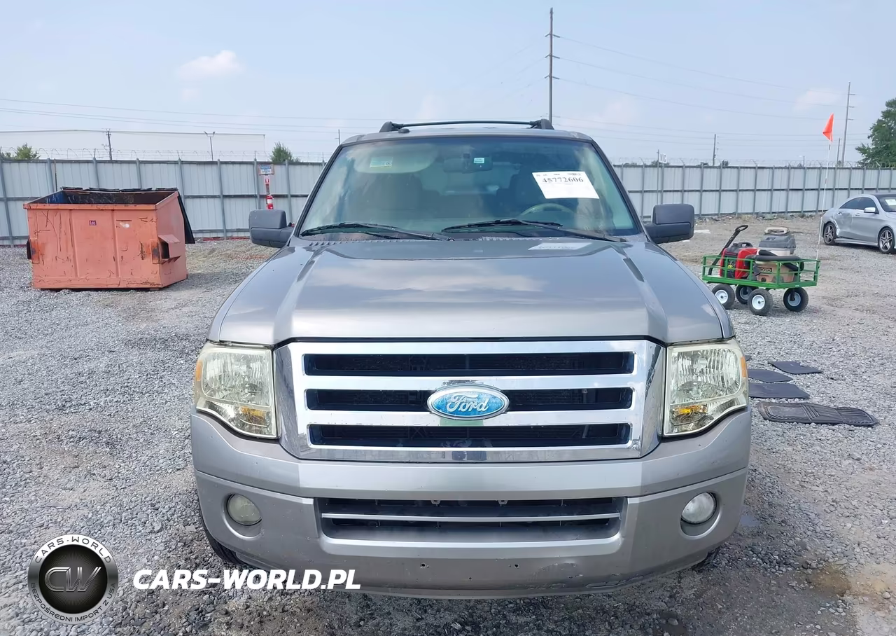 2009 Ford Expedition Xlt VIN:1FMFU15579LA09746 - 12