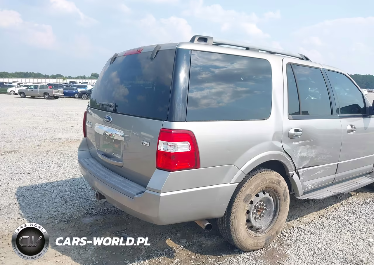 2009 Ford Expedition Xlt VIN:1FMFU15579LA09746 - 6
