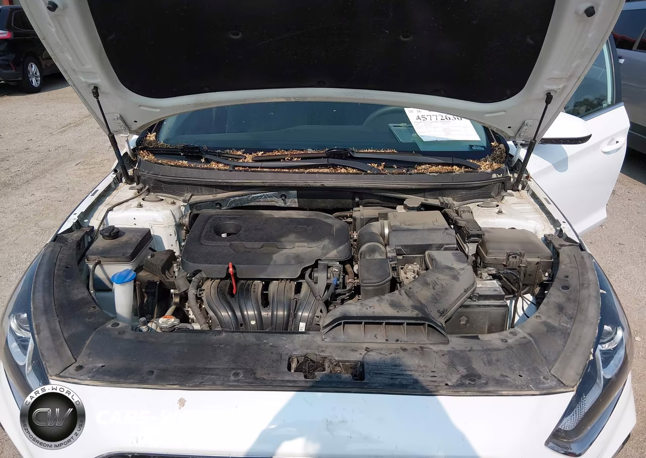 2019 Hyundai Sonata Se VIN:5NPE24AF7KH735428 - 10