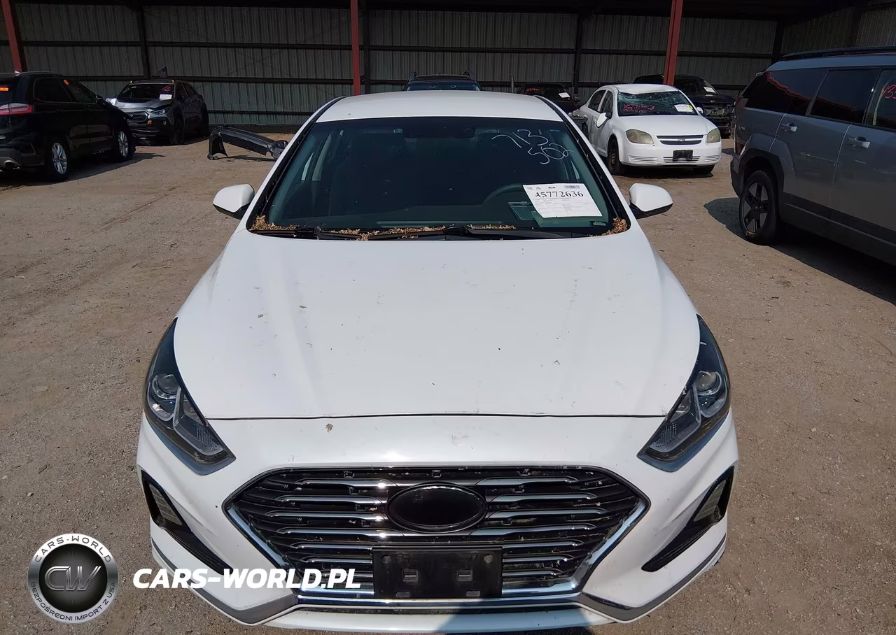 2019 Hyundai Sonata Se VIN:5NPE24AF7KH735428 - 12