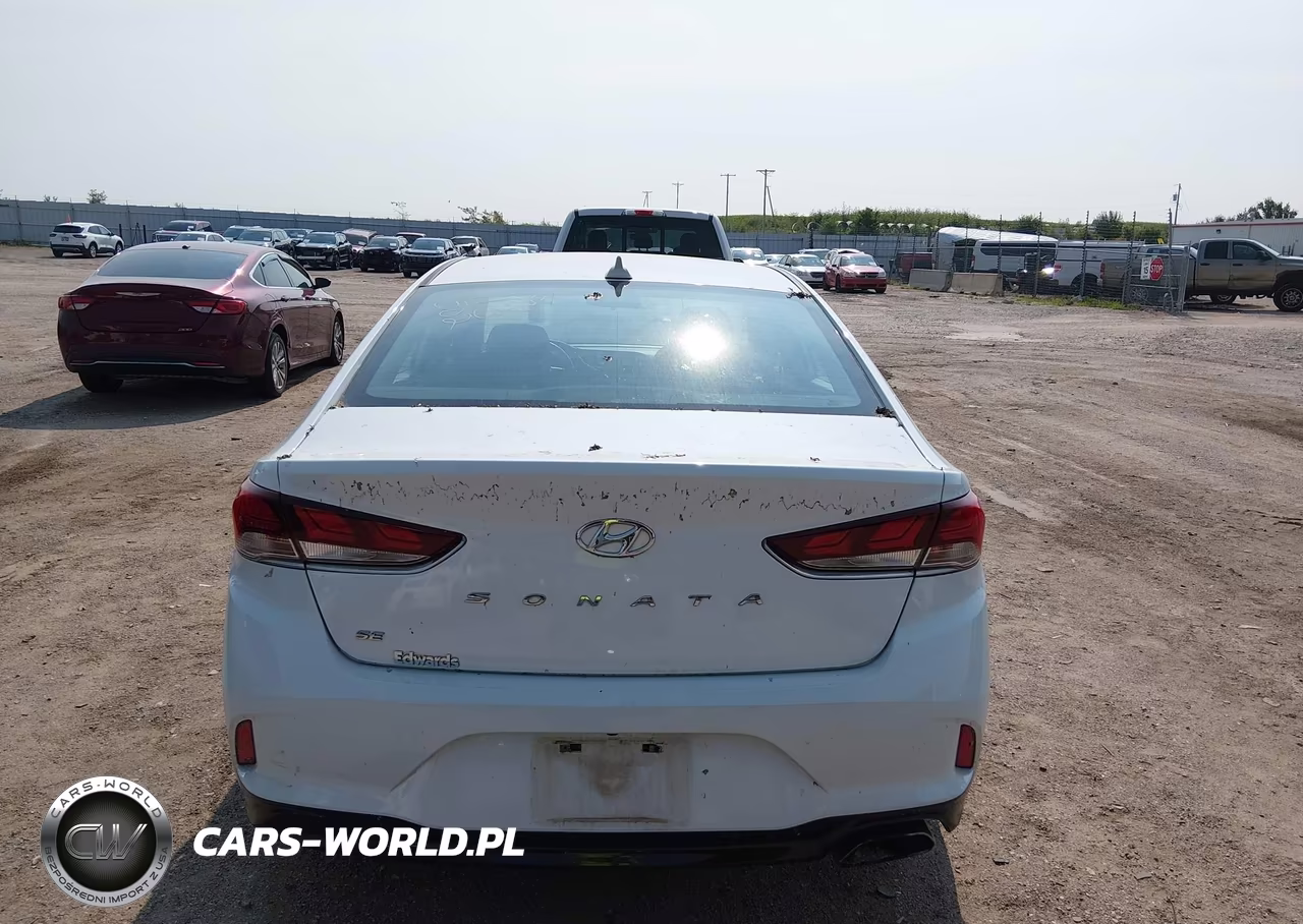 2019 Hyundai Sonata Se VIN:5NPE24AF7KH735428 - 16