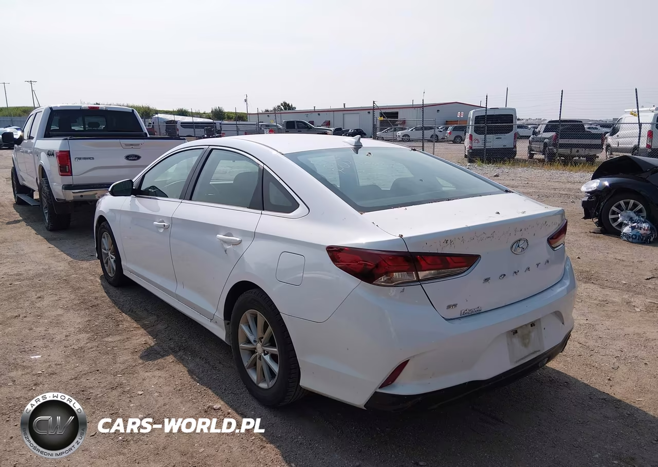 2019 Hyundai Sonata Se VIN:5NPE24AF7KH735428 - 3