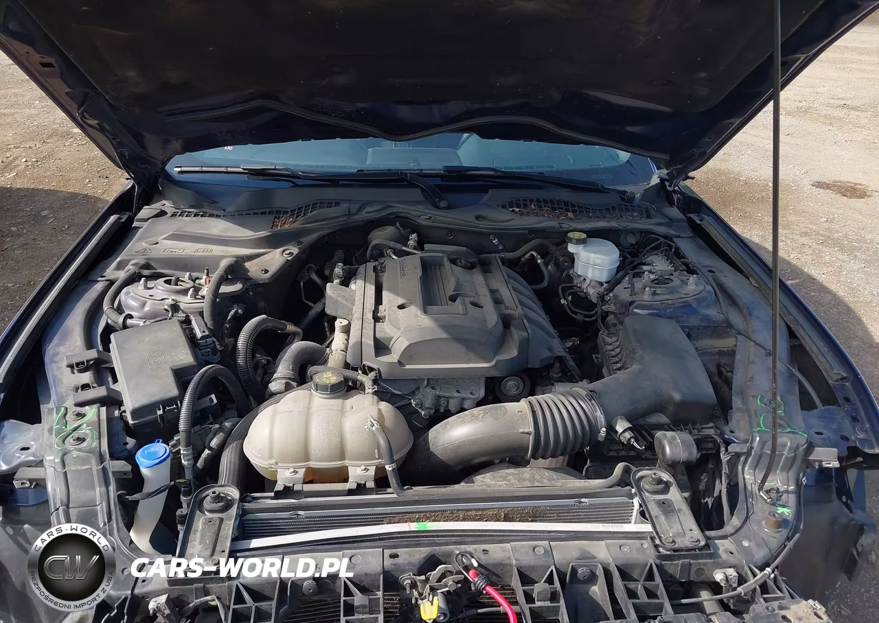2020 Ford Mustang Ecoboost Premium Fastback VIN:1FA6P8TH1L5162660 - 10
