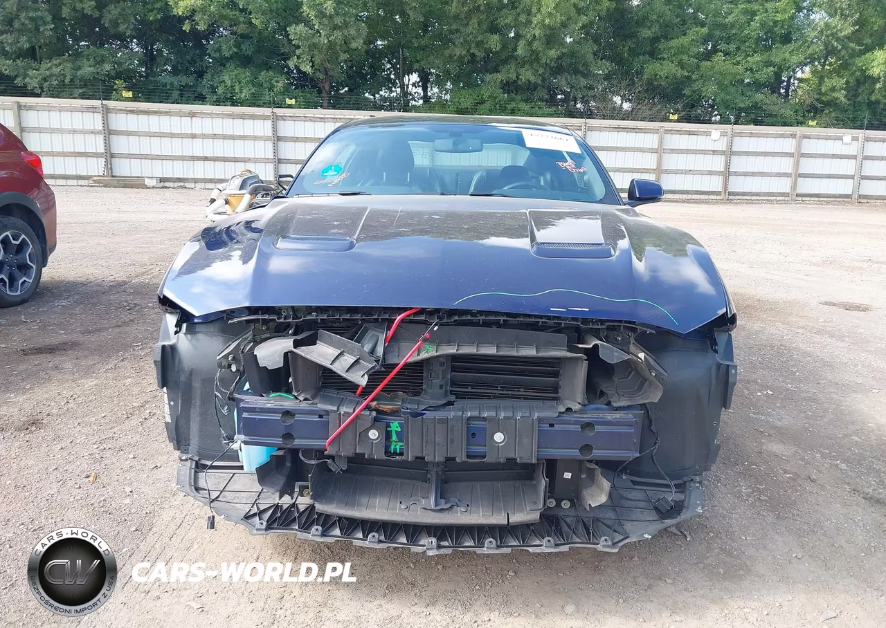 2020 Ford Mustang Ecoboost Premium Fastback VIN:1FA6P8TH1L5162660 - 12