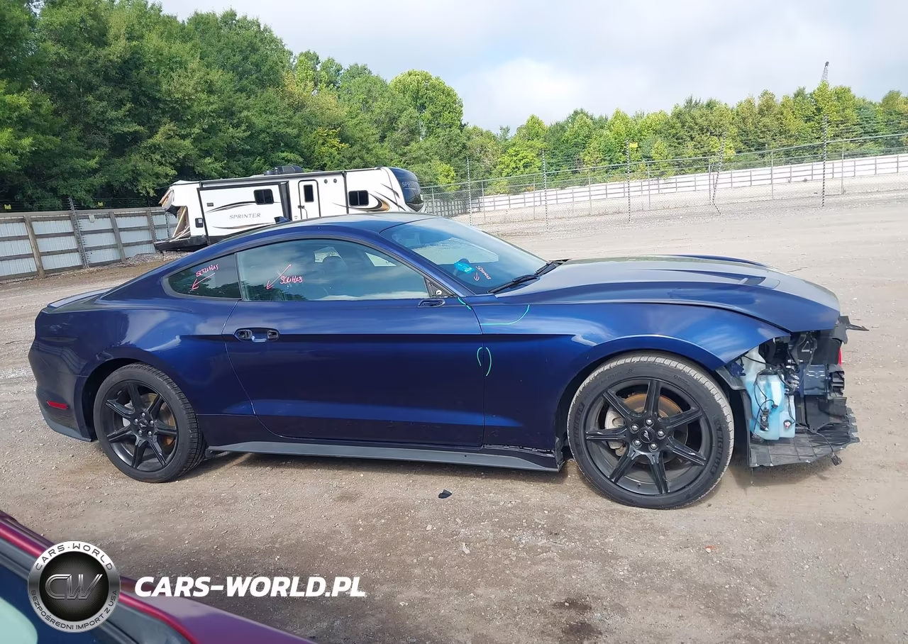 2020 Ford Mustang Ecoboost Premium Fastback VIN:1FA6P8TH1L5162660 - 13