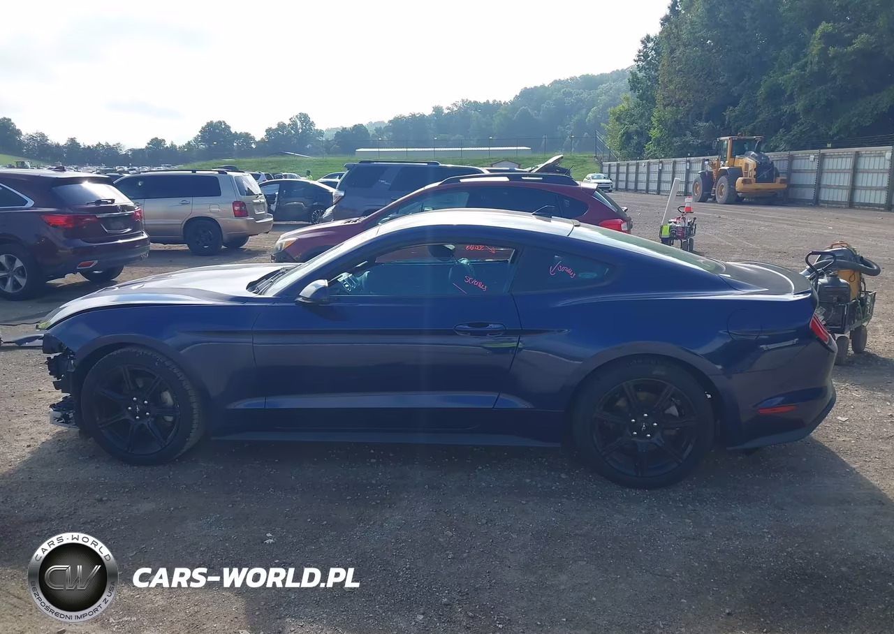 2020 Ford Mustang Ecoboost Premium Fastback VIN:1FA6P8TH1L5162660 - 14
