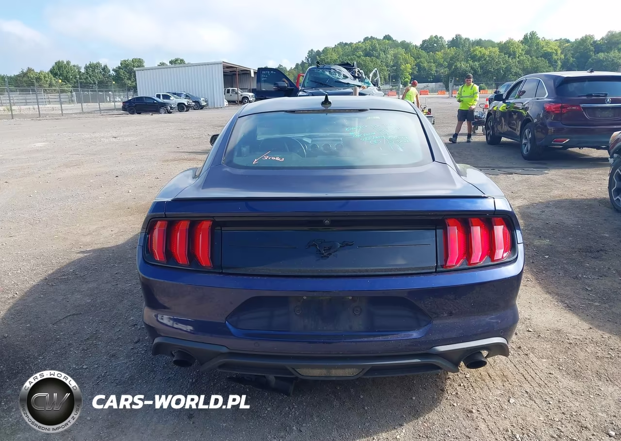 2020 Ford Mustang Ecoboost Premium Fastback VIN:1FA6P8TH1L5162660 - 16