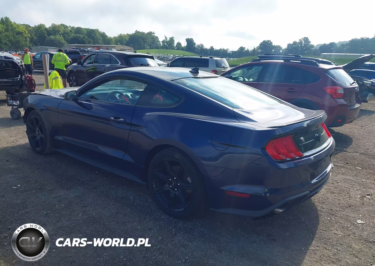 2020 Ford Mustang Ecoboost Premium Fastback VIN:1FA6P8TH1L5162660 - 3