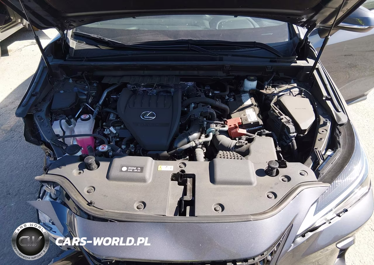 2023 Lexus Nx 350 Premium VIN:2T2GGCEZ0PC020375 - 10