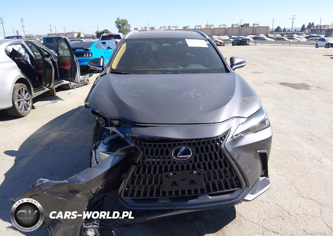 2023 Lexus Nx 350 Premium VIN:2T2GGCEZ0PC020375 - 12