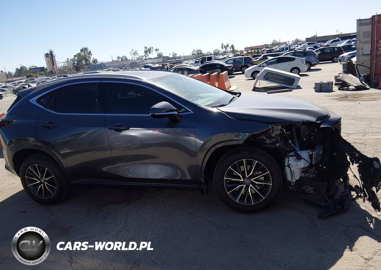2023 Lexus Nx 350 Premium VIN:2T2GGCEZ0PC020375 - 13