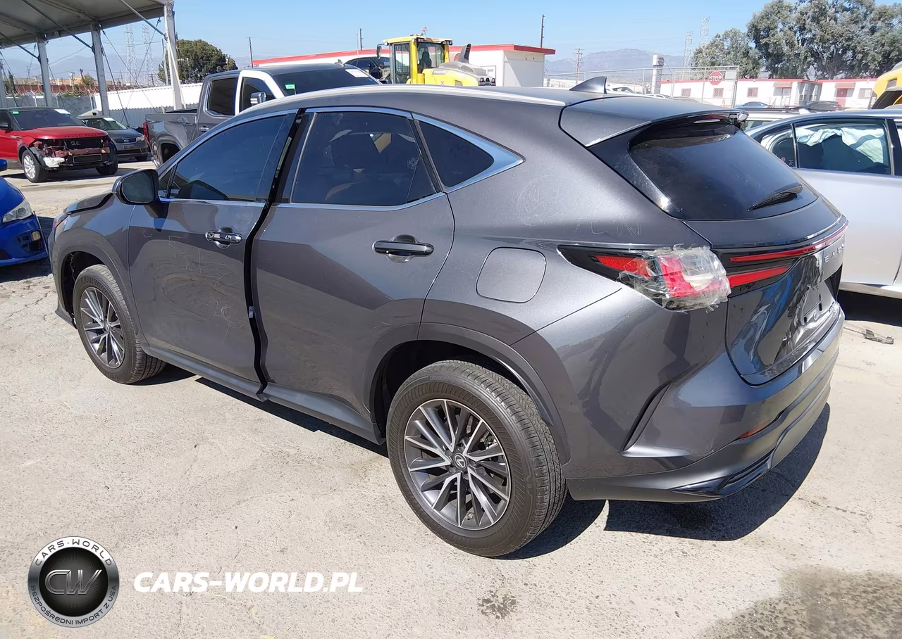 2023 Lexus Nx 350 Premium VIN:2T2GGCEZ0PC020375 - 3