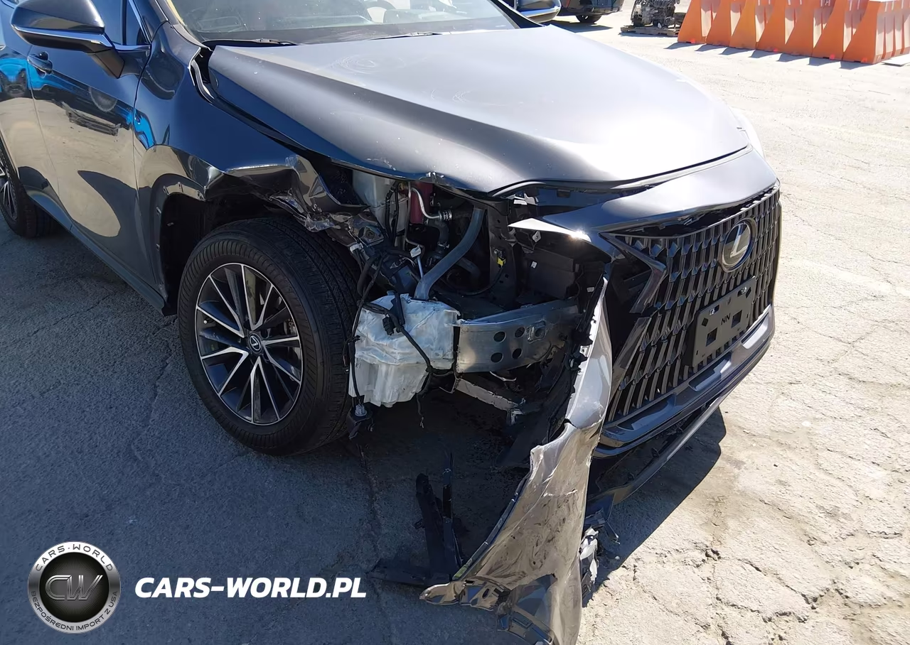 2023 Lexus Nx 350 Premium VIN:2T2GGCEZ0PC020375 - 6