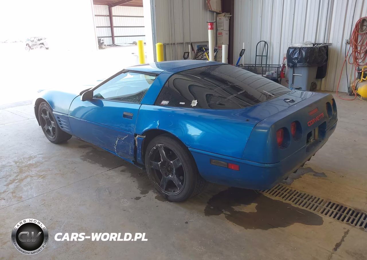 CHEVROLET CORVETTE VIN:1G1YY238XM5115943 - 3