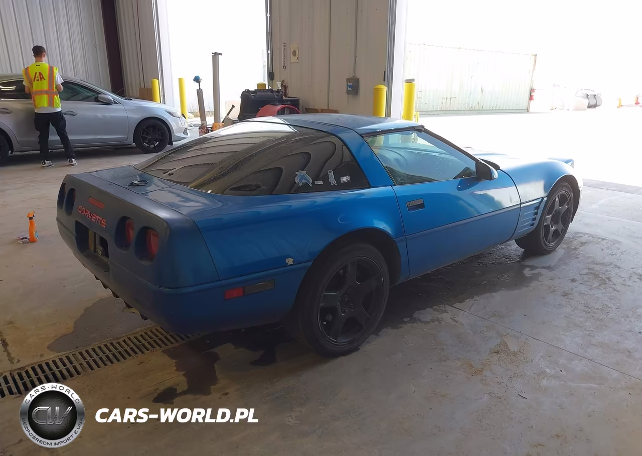 CHEVROLET CORVETTE VIN:1G1YY238XM5115943 - 4