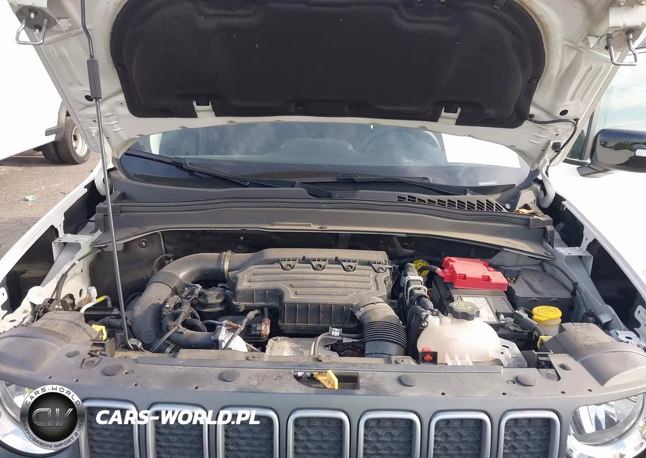 2023 Jeep Renegade Limited 4X4 VIN:ZACNJDD19PPP29984 - 10