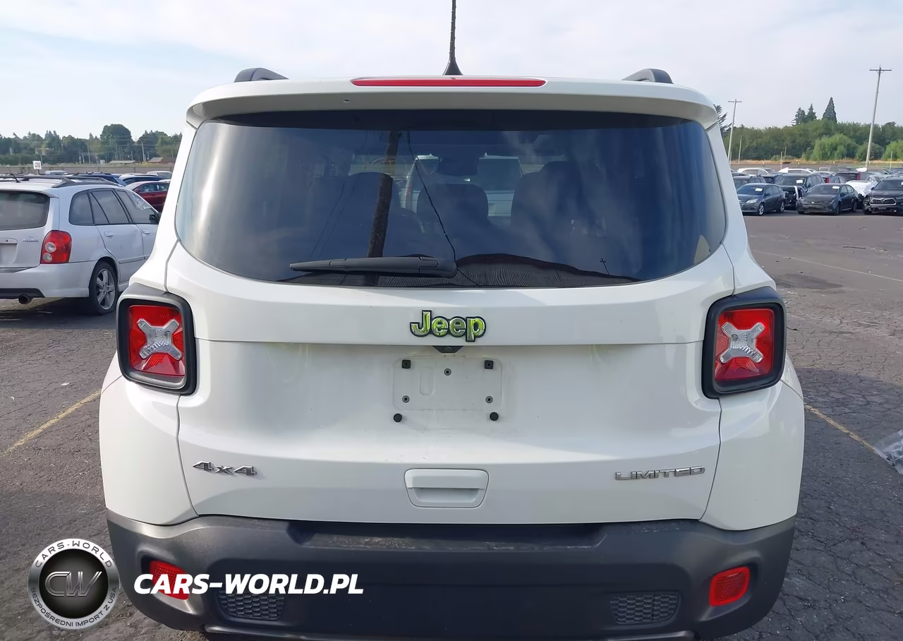 2023 Jeep Renegade Limited 4X4 VIN:ZACNJDD19PPP29984 - 17