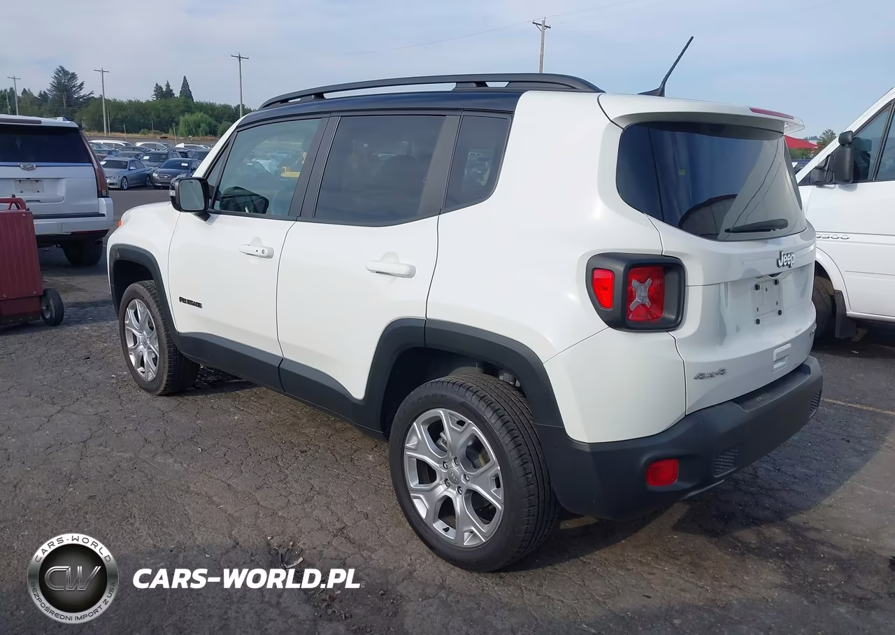 2023 Jeep Renegade Limited 4X4 VIN:ZACNJDD19PPP29984 - 3