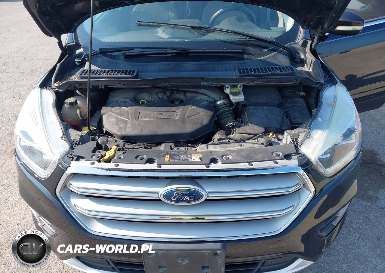 2019 Ford Escape Titanium VIN:1FMCU9J99KUC30288 - 10