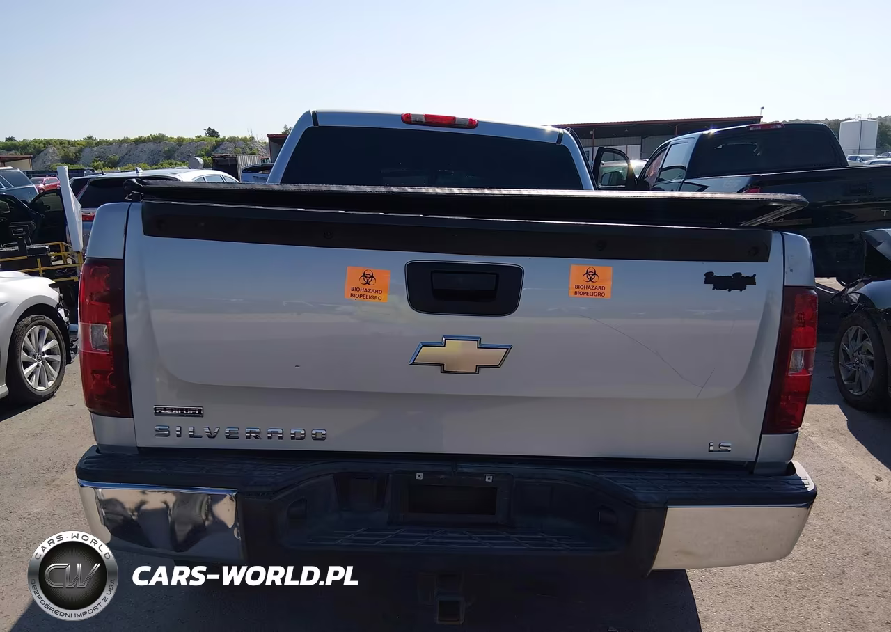 2010 Chevrolet Silverado 1500 Ls VIN:3GCRCREA1AG286135 - 16