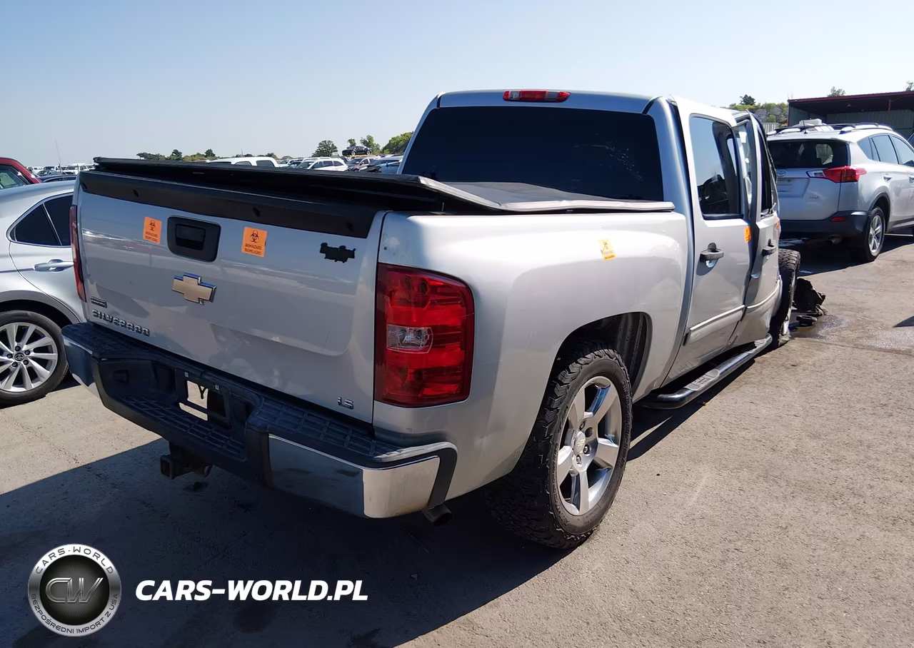 2010 Chevrolet Silverado 1500 Ls VIN:3GCRCREA1AG286135 - 4
