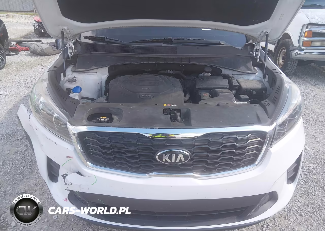 2019 Kia Sorento 3.3L Lx VIN:5XYPGDA52KG571658 - 10