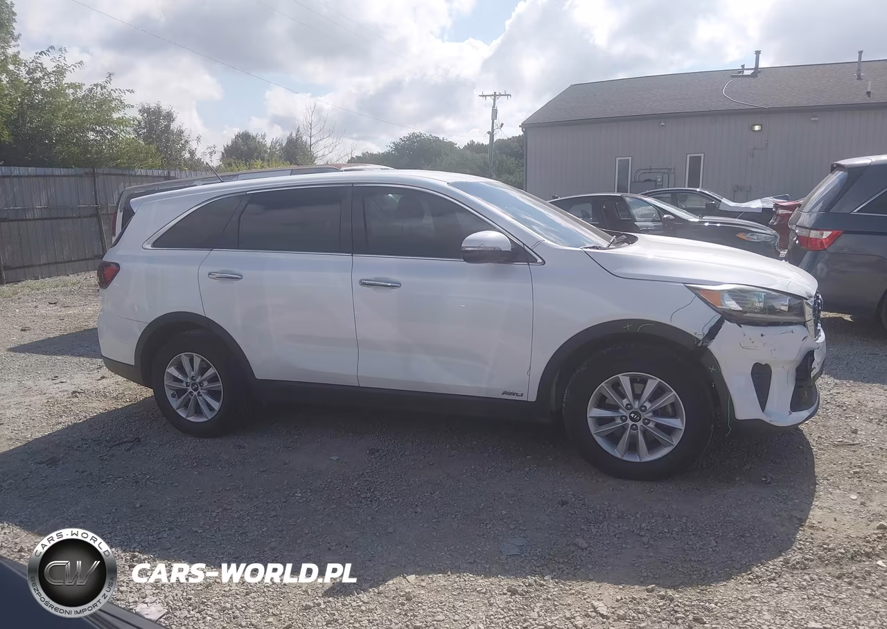 2019 Kia Sorento 3.3L Lx VIN:5XYPGDA52KG571658 - 13