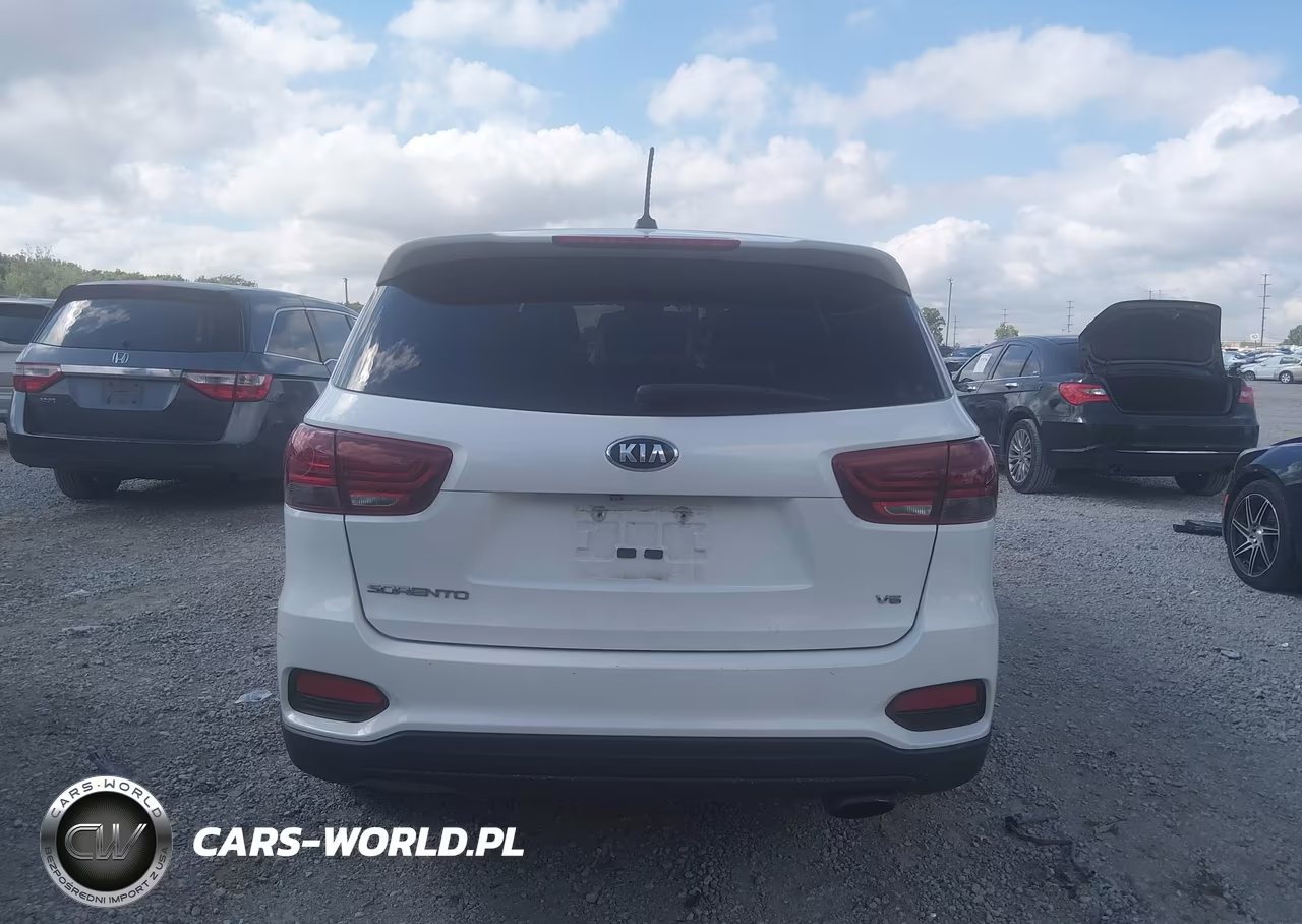 2019 Kia Sorento 3.3L Lx VIN:5XYPGDA52KG571658 - 16