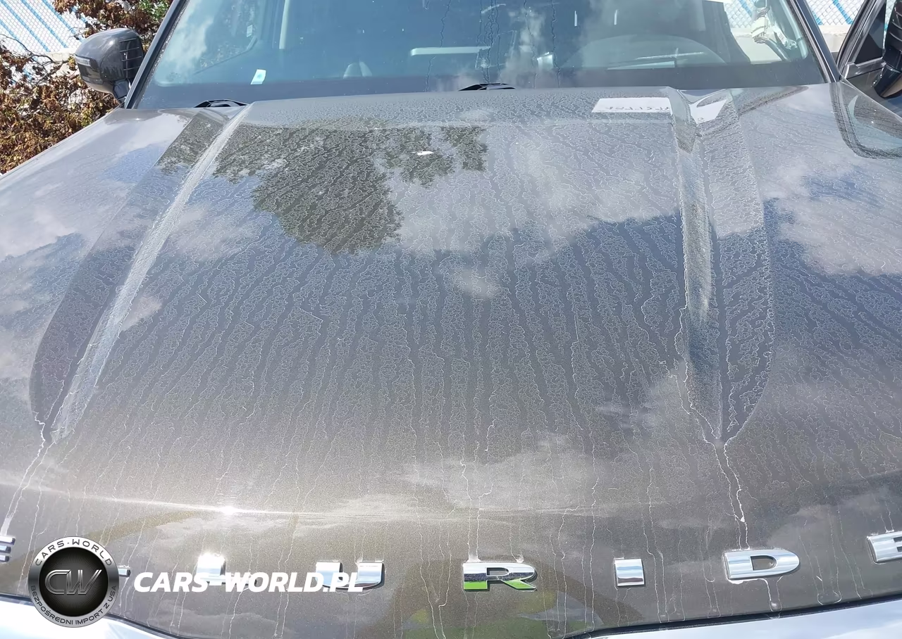 2020 Kia Telluride Sx VIN:5XYP5DHC9LG029226 - 10