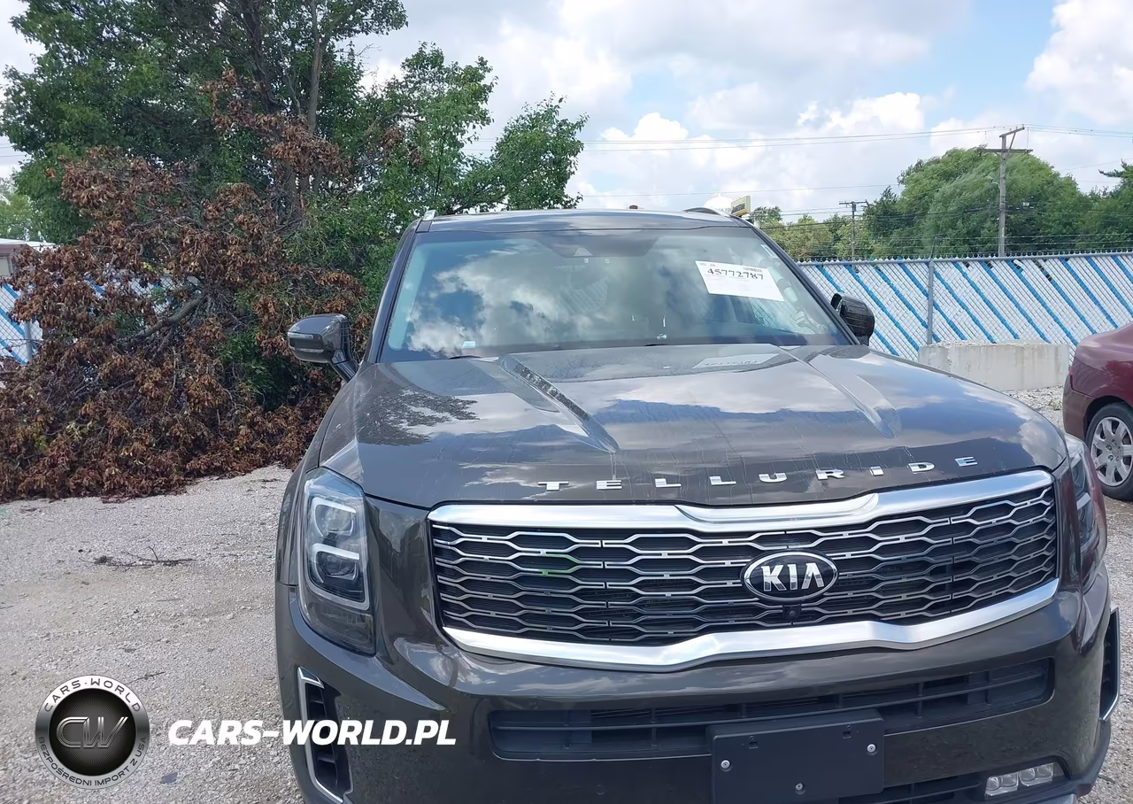 2020 Kia Telluride Sx VIN:5XYP5DHC9LG029226 - 12