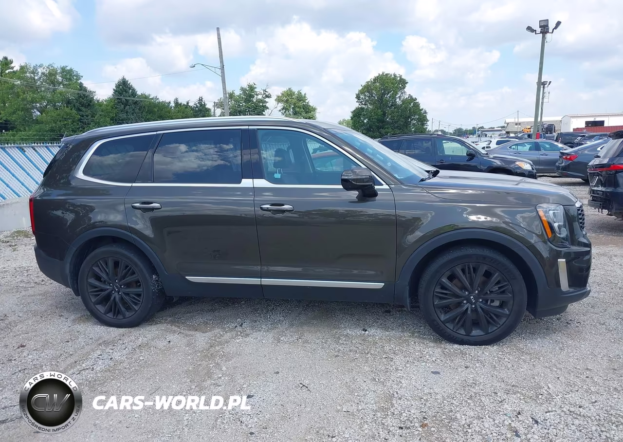 2020 Kia Telluride Sx VIN:5XYP5DHC9LG029226 - 13