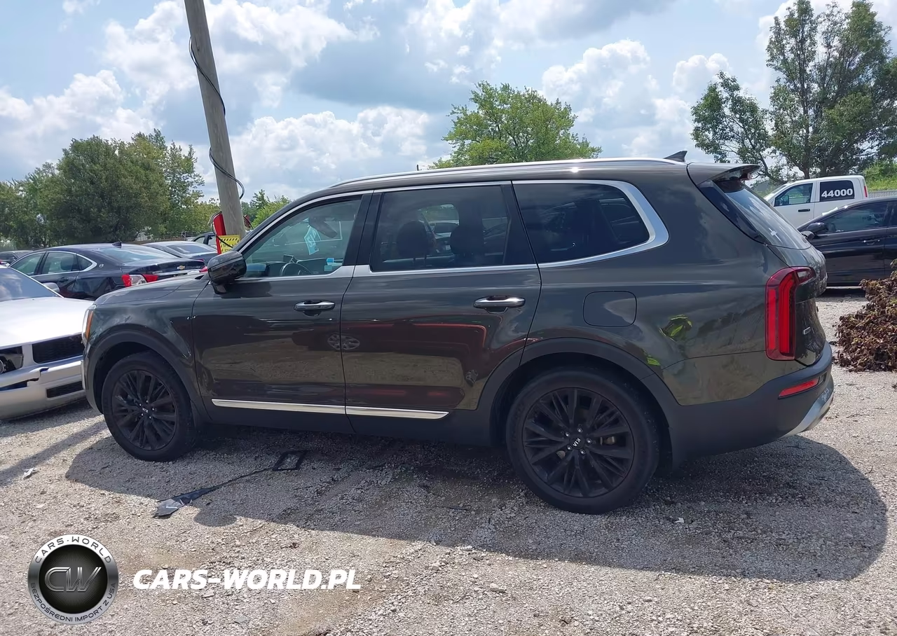 2020 Kia Telluride Sx VIN:5XYP5DHC9LG029226 - 14