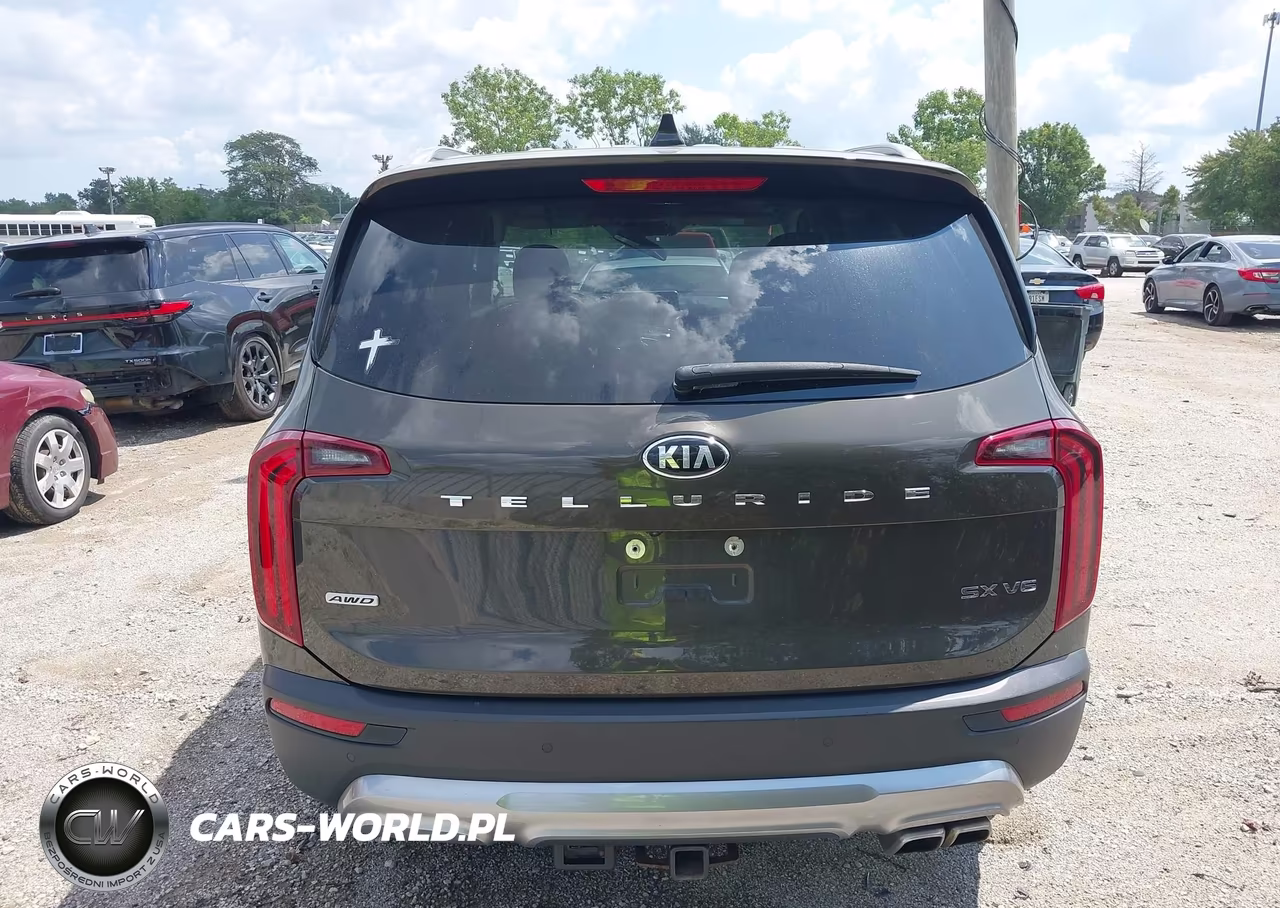 2020 Kia Telluride Sx VIN:5XYP5DHC9LG029226 - 16