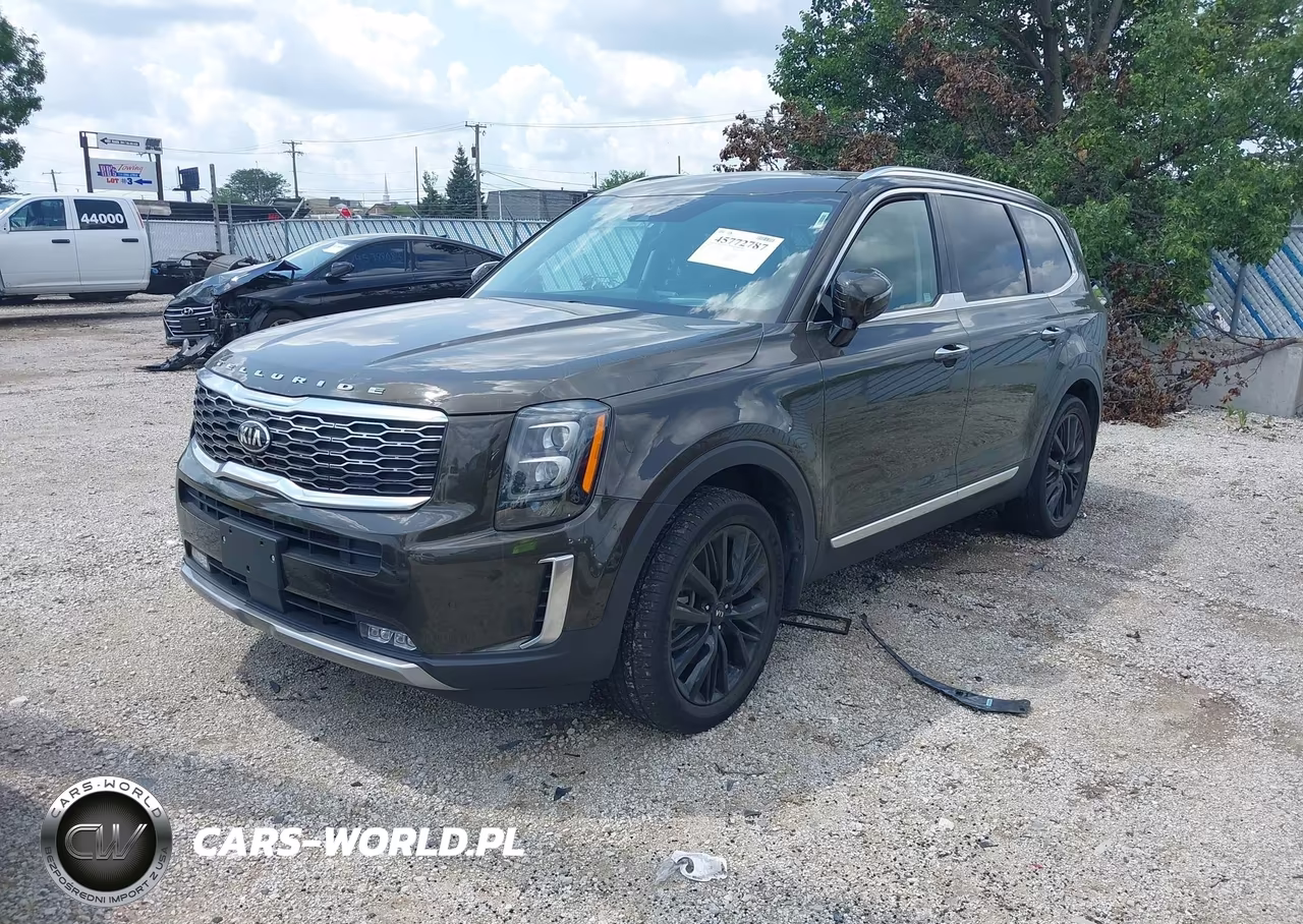 2020 Kia Telluride Sx VIN:5XYP5DHC9LG029226 - 2