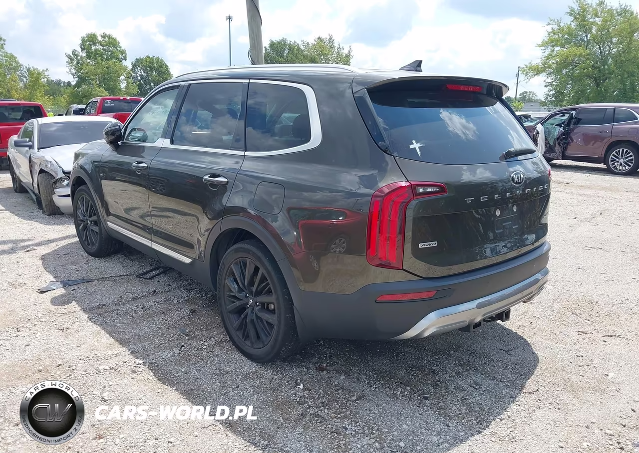 2020 Kia Telluride Sx VIN:5XYP5DHC9LG029226 - 3