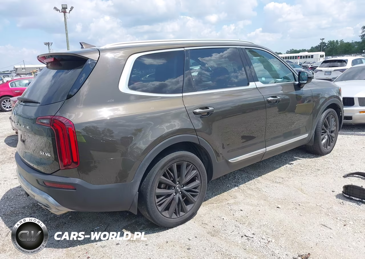 2020 Kia Telluride Sx VIN:5XYP5DHC9LG029226 - 4