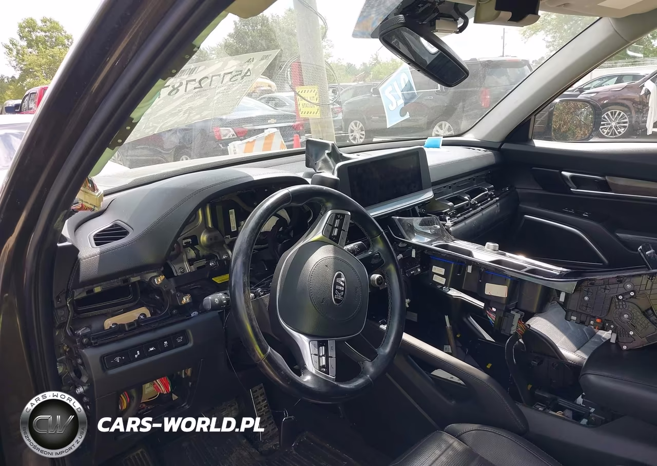 2020 Kia Telluride Sx VIN:5XYP5DHC9LG029226 - 6