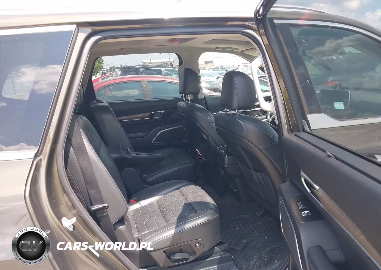2020 Kia Telluride Sx VIN:5XYP5DHC9LG029226 - 8