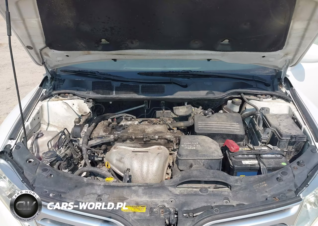 2010 Toyota Venza VIN:4T3BA3BB8AU018863 - 10