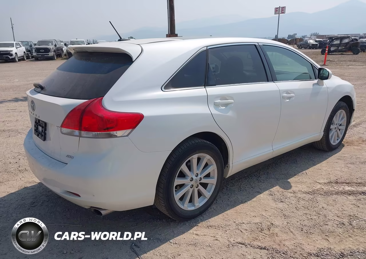 2010 Toyota Venza VIN:4T3BA3BB8AU018863 - 4