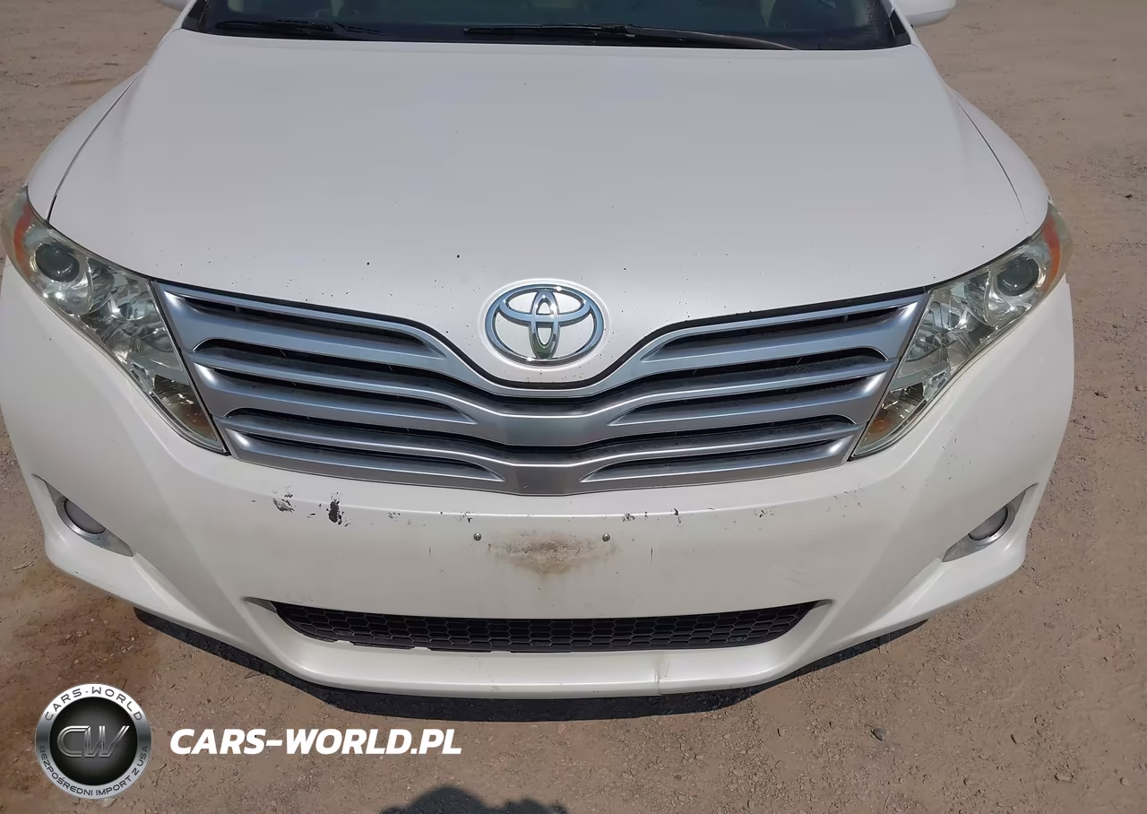 2010 Toyota Venza VIN:4T3BA3BB8AU018863 - 6