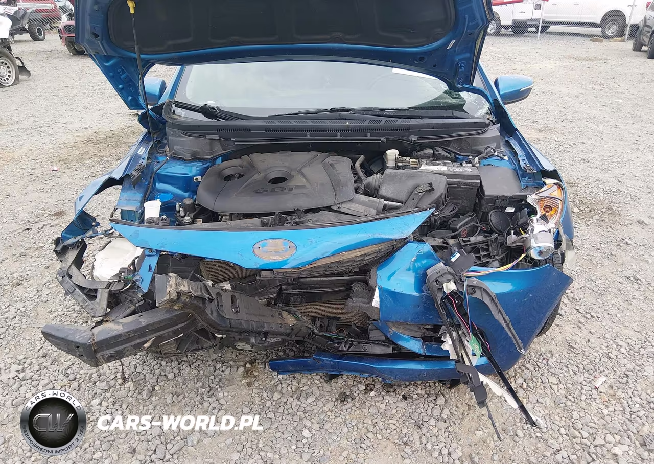 2014 Kia Forte Ex VIN:KNAFX4A88E5165769 - 10