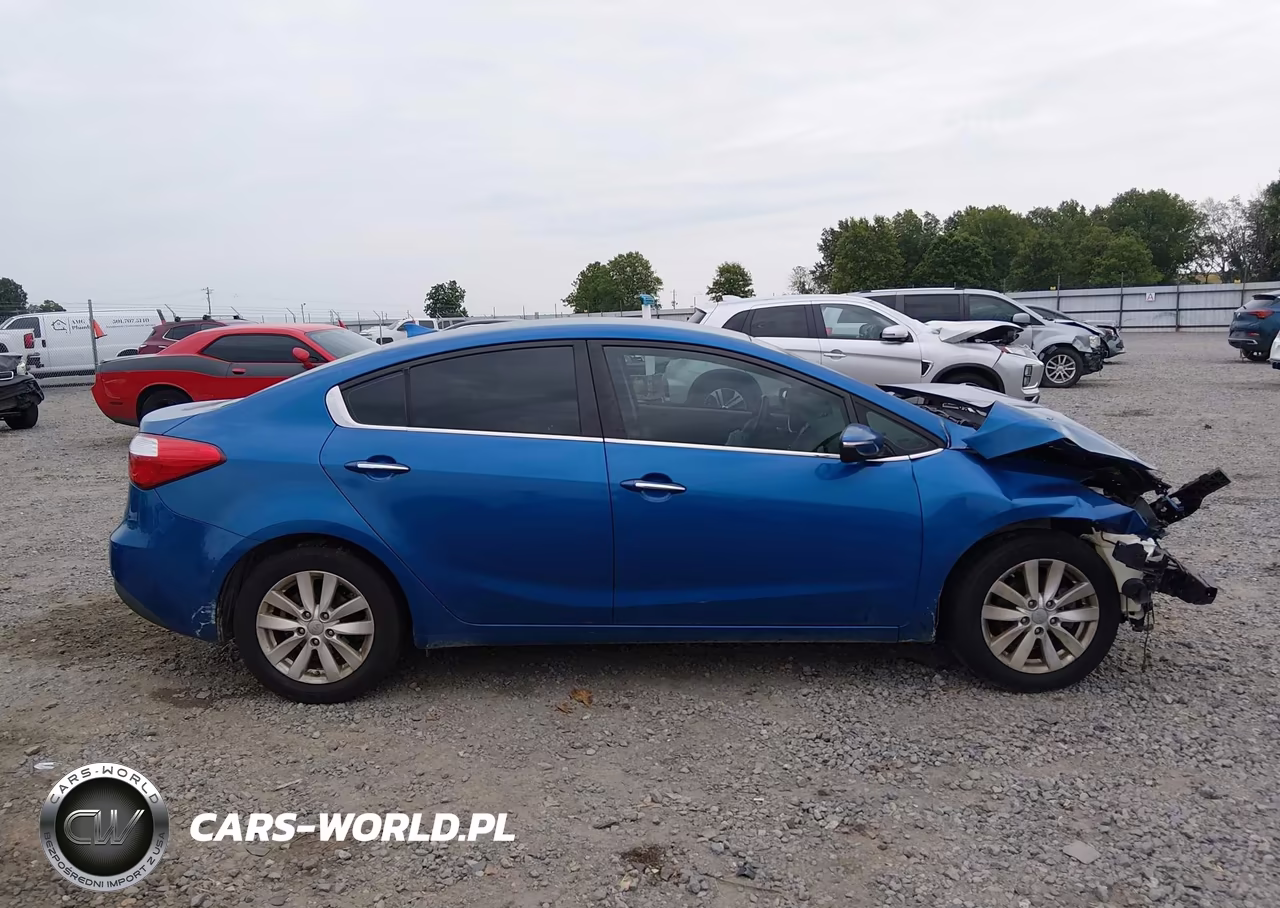 2014 Kia Forte Ex VIN:KNAFX4A88E5165769 - 13