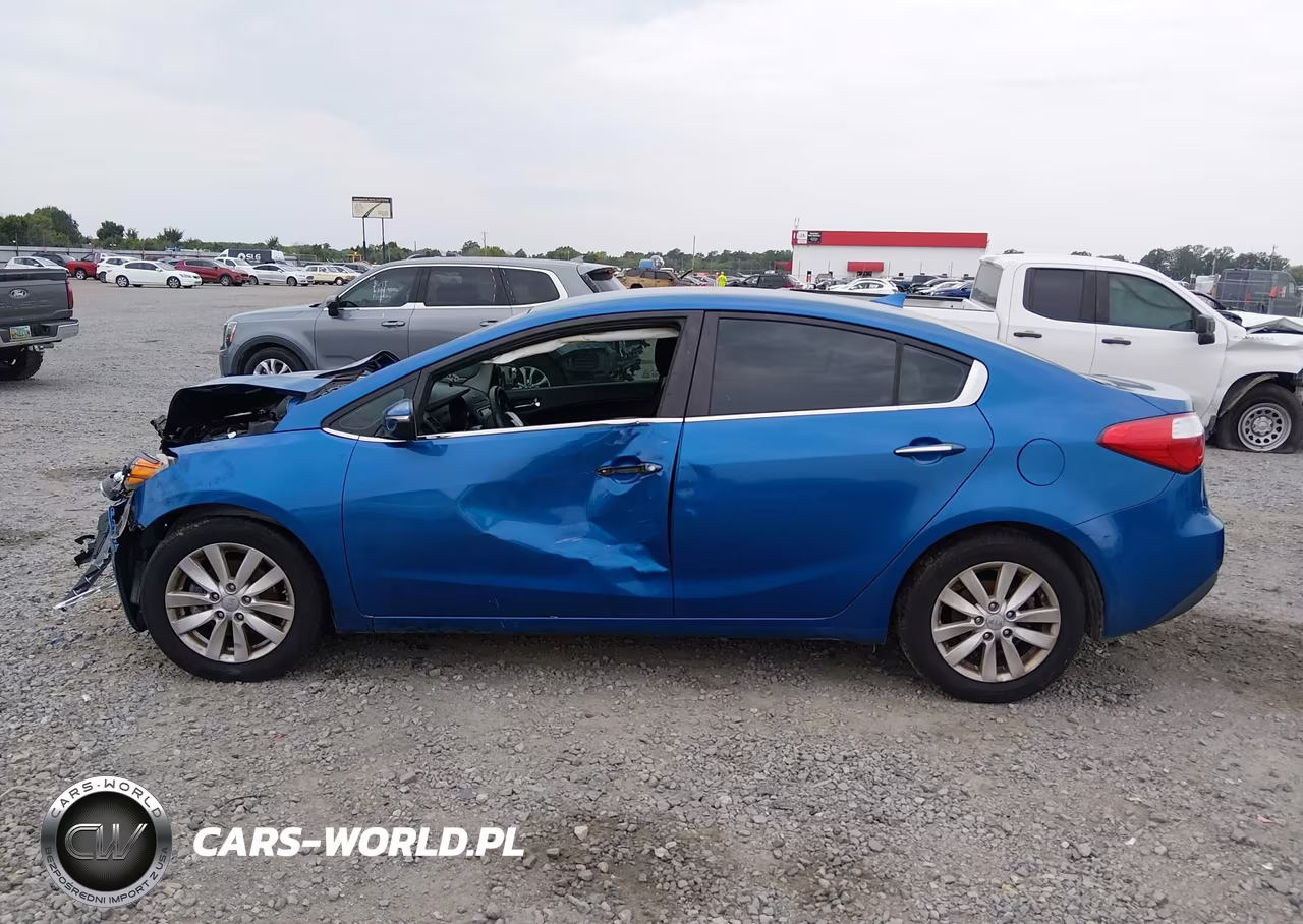 2014 Kia Forte Ex VIN:KNAFX4A88E5165769 - 14