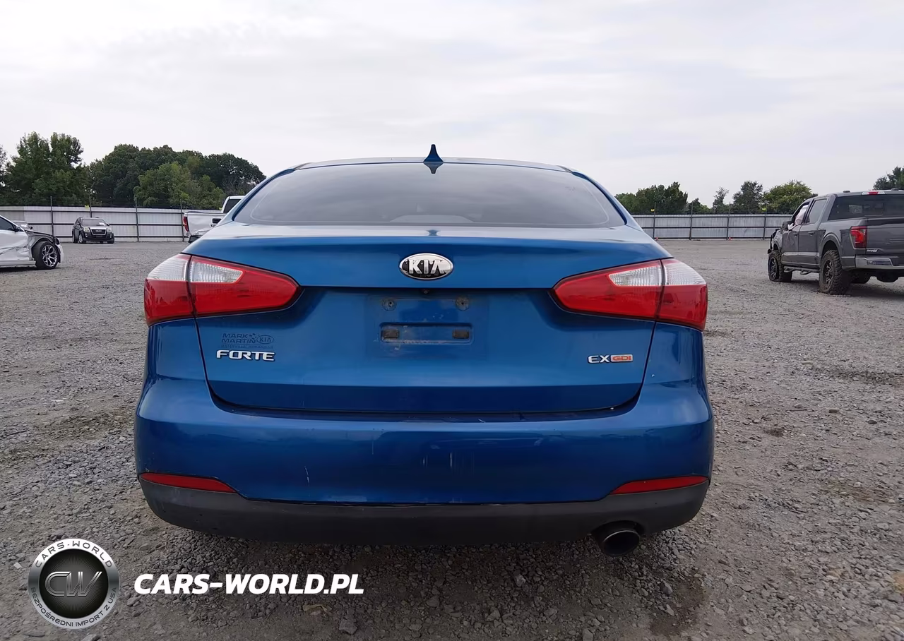 2014 Kia Forte Ex VIN:KNAFX4A88E5165769 - 16