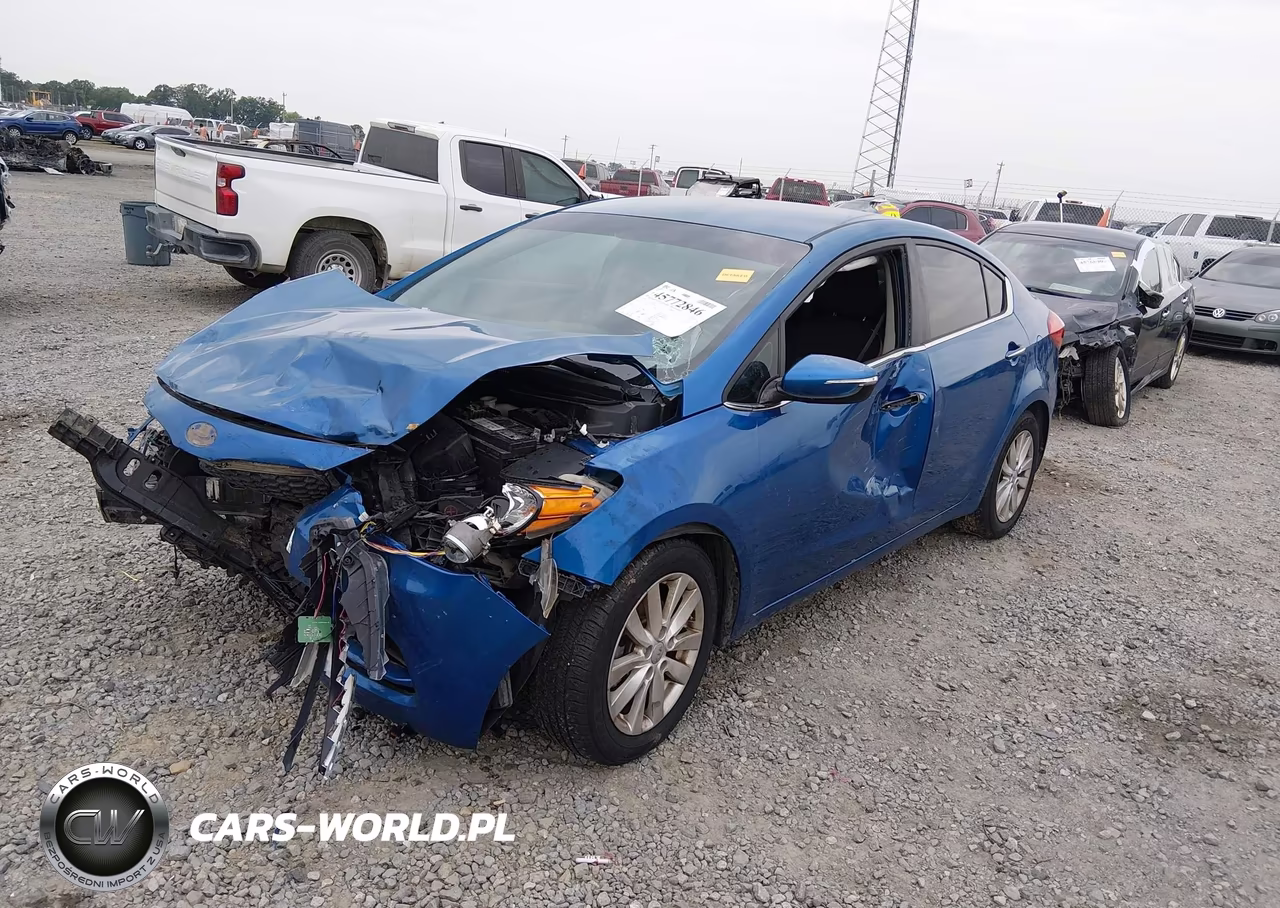 2014 Kia Forte Ex VIN:KNAFX4A88E5165769 - 2