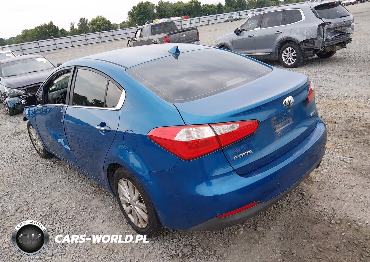 2014 Kia Forte Ex VIN:KNAFX4A88E5165769 - 3