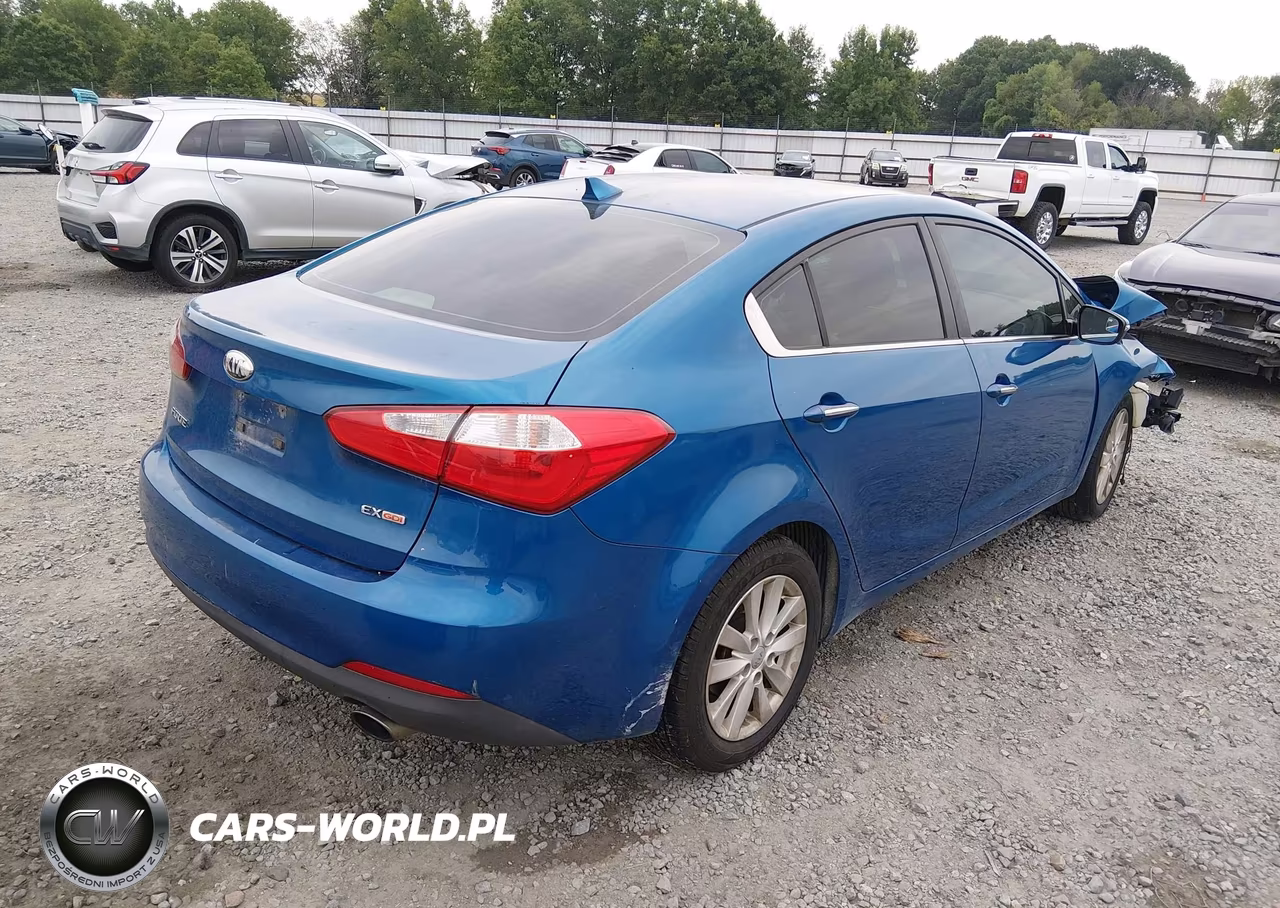 2014 Kia Forte Ex VIN:KNAFX4A88E5165769 - 4