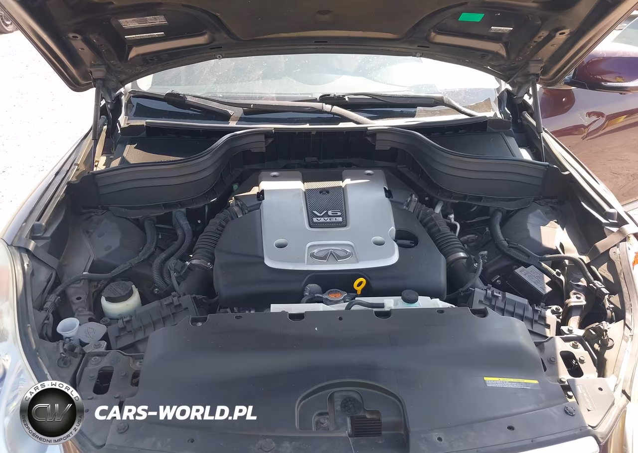 2016 Infiniti Qx50 VIN:JN1BJ0RP1GM232716 - 10
